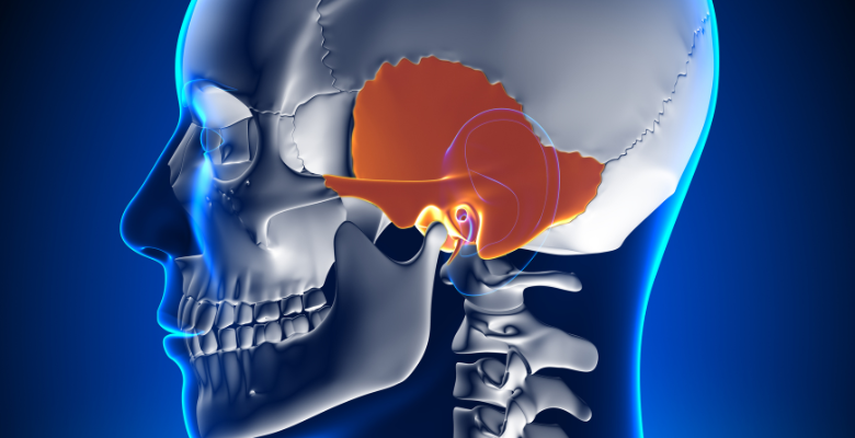 ULS de Coimbra propõe protocolo para trauma do osso temporal