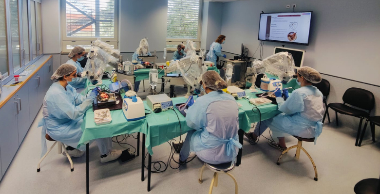 Exigência técnica, inovação e prática intensiva: os pilares da formação em Cirurgia Otológica na ULS de São João