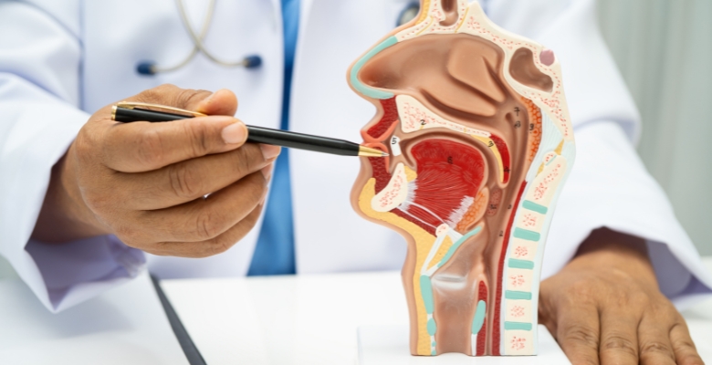 Avaliação da deglutição e da qualidade de vida é necessário em sobreviventes de cancro da orofaringe